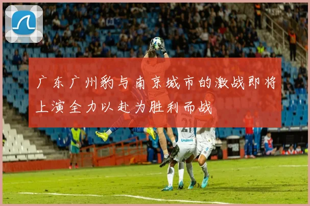 广东广州豹与南京城市的激战即将上演全力以赴为胜利而战