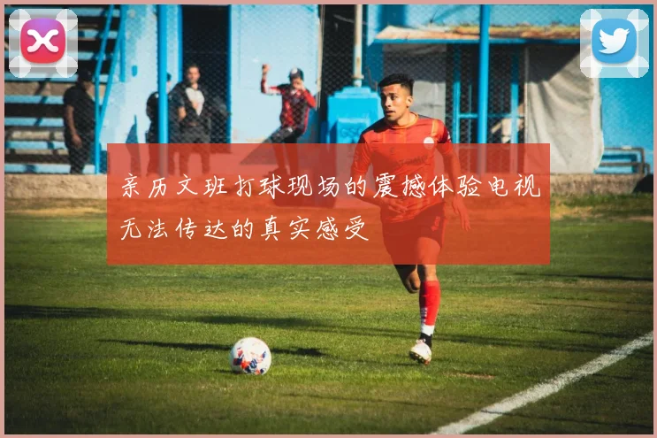 亲历文班打球现场的震撼体验电视无法传达的真实感受