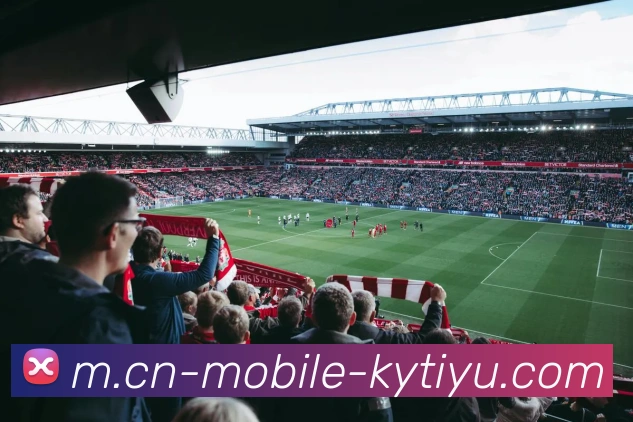 开云体育平台生态图