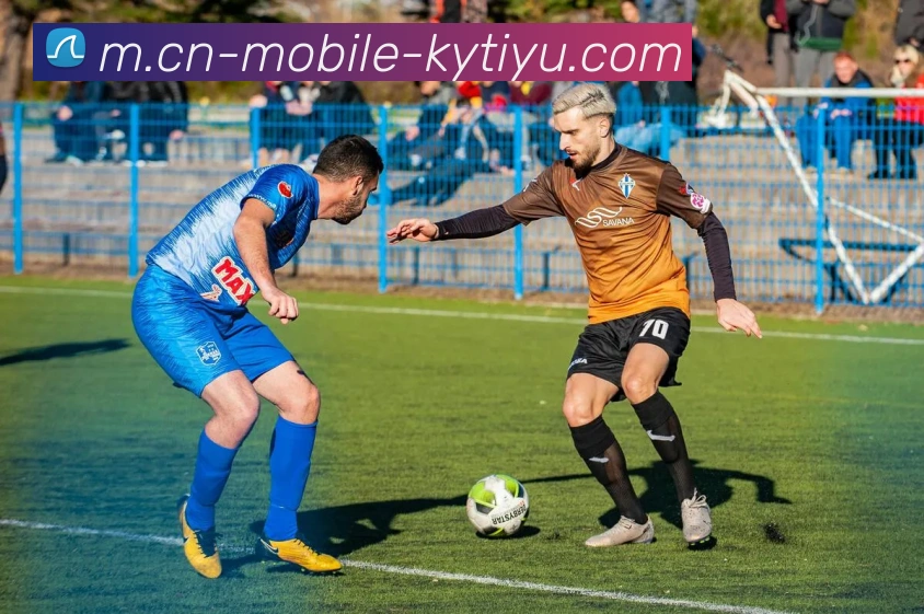 开云体育APP 封面图